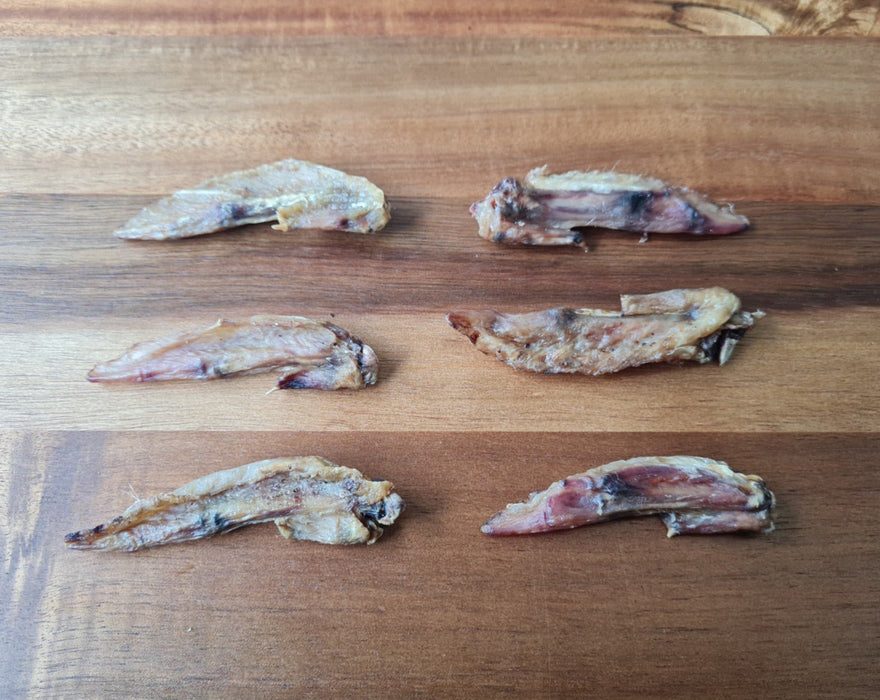 Wing Tips Large Buy Chicken Wing Tips Wholesale | K9 KATERING Dog Treats Australia — K9 ...