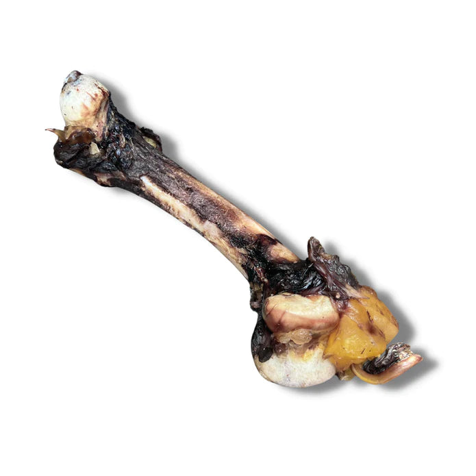 Emu Shank Bone (Large Pack)
